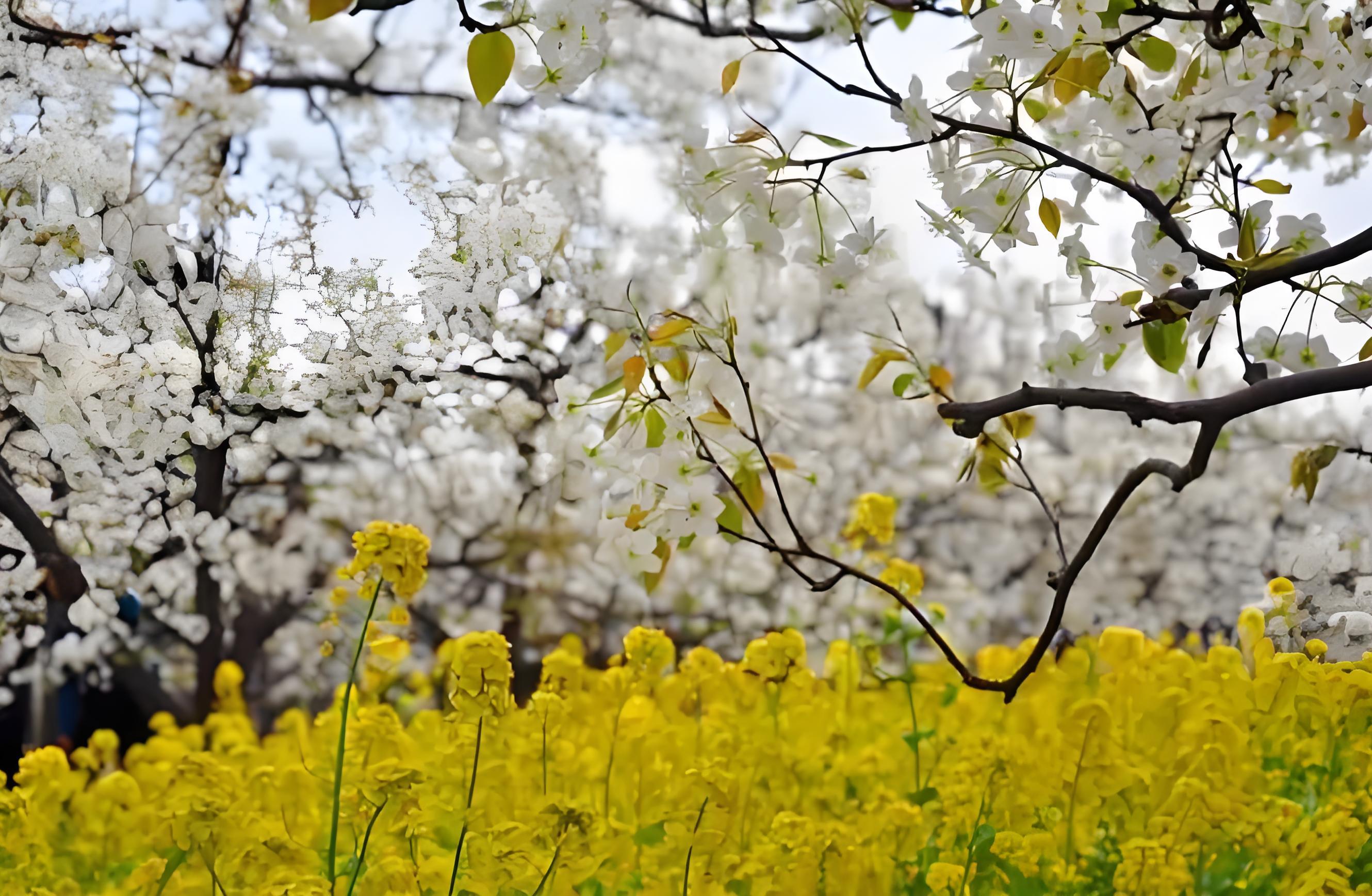 Hervatting van het werk na de Qingming Festival Holiday: reflectie en vooruitgang